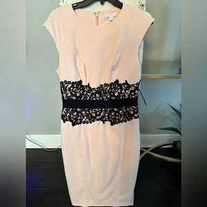 NWT New York & Company pale pink black lined stretch lace Size Medium